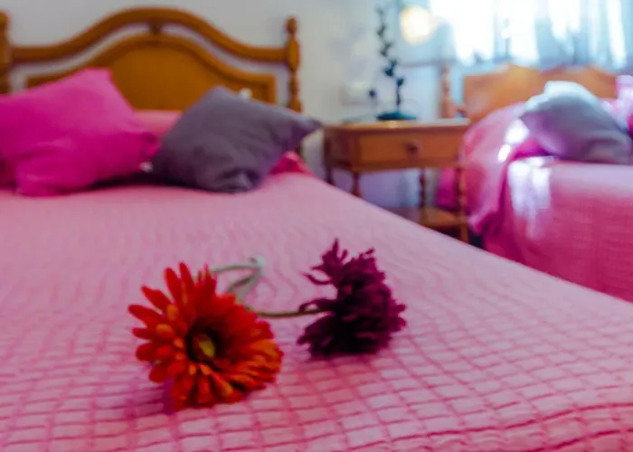 Calle Alta Διαμέρισμα Conil De La Frontera