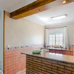 Apartment Calle Alta